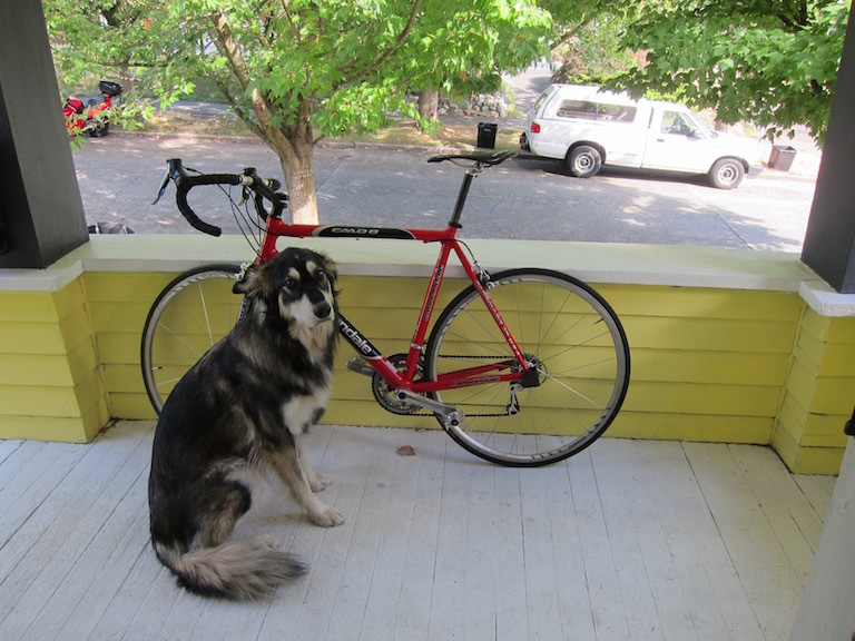 image with dog, bycicle and truck